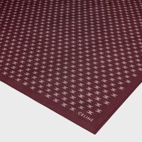 シルクスカーフ レディース | CELINE | セリーヌ公式サイト | ハイ 