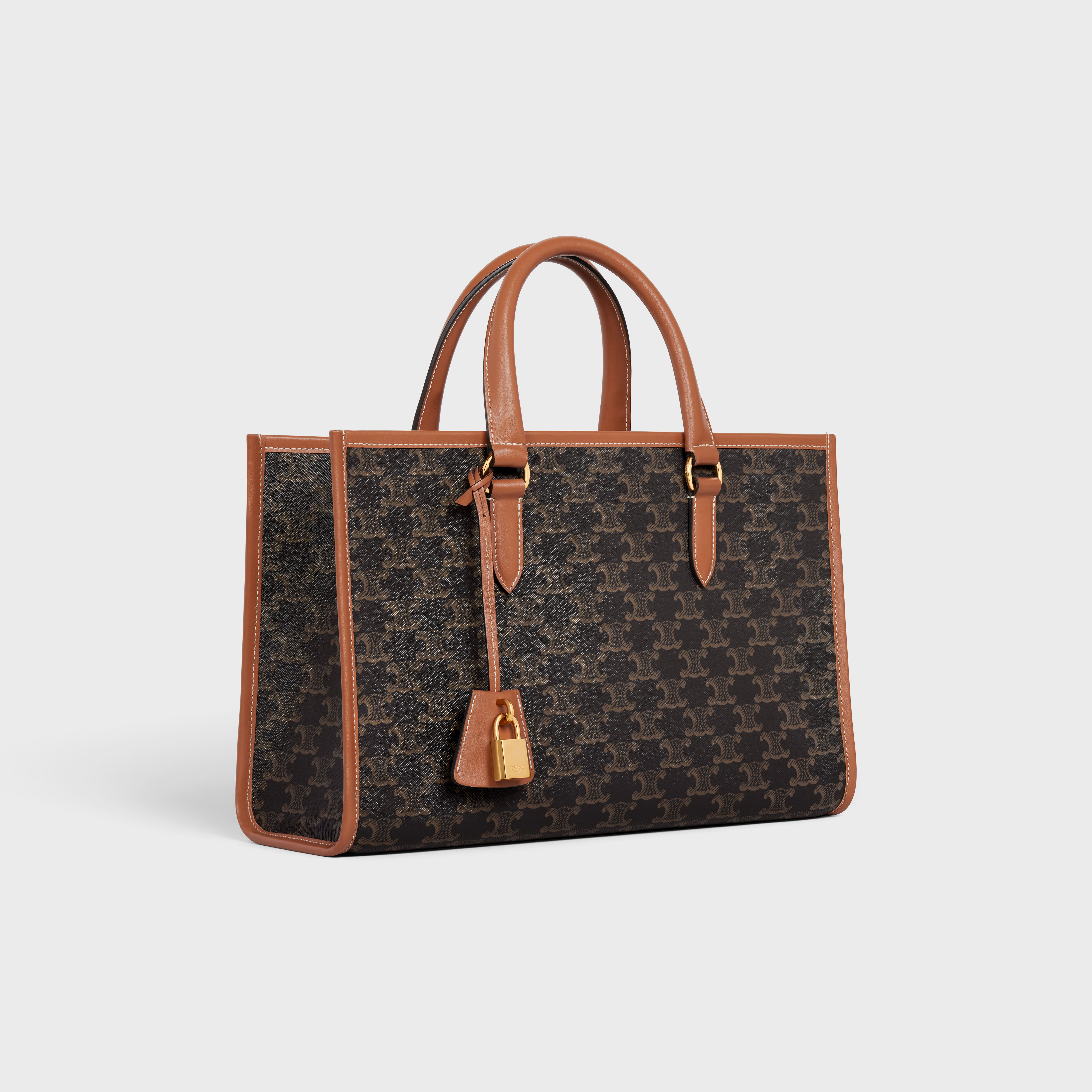 celine vertical cabas tote mini