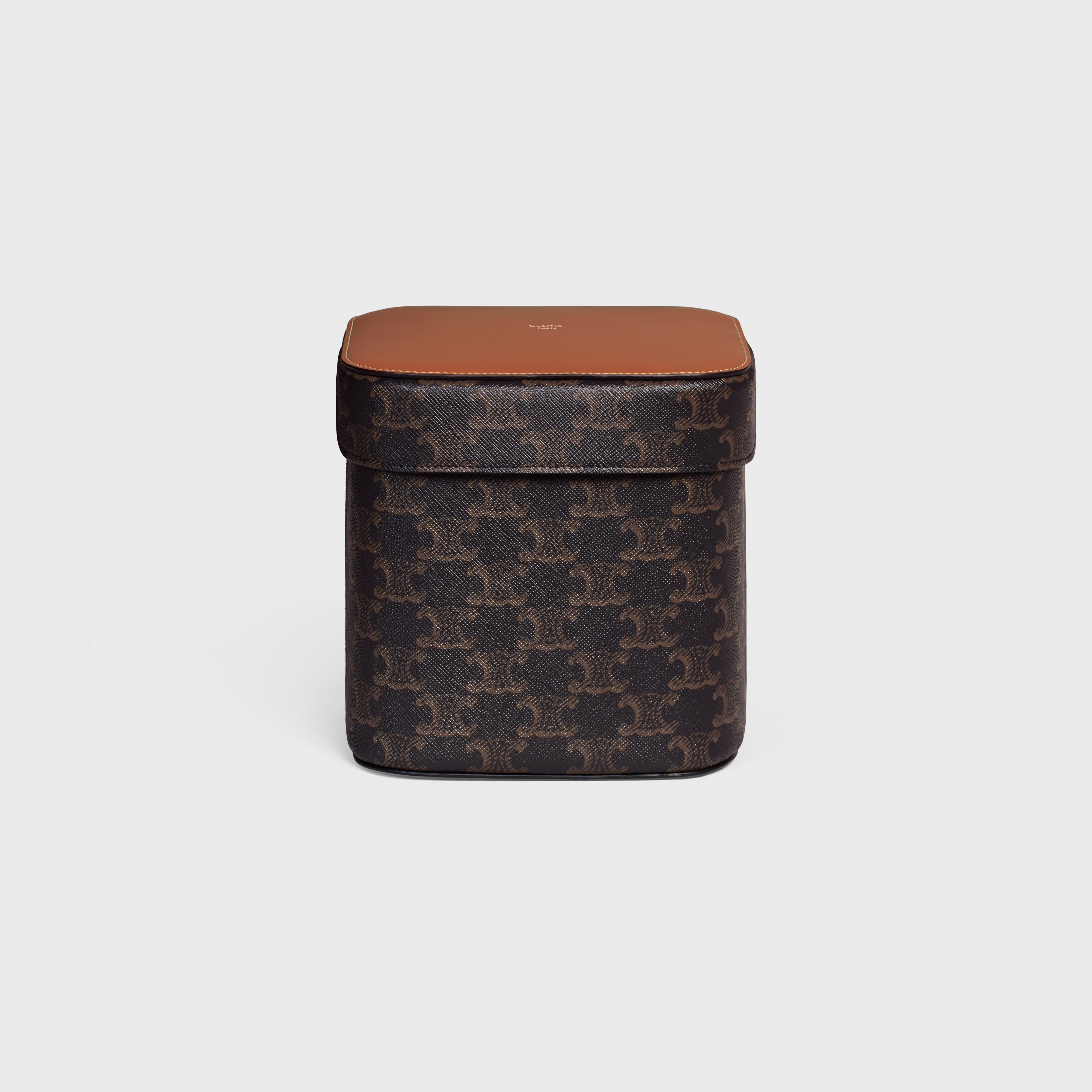 Large Box in Triomphe Canvas and Calfskin - TAN | CELINE