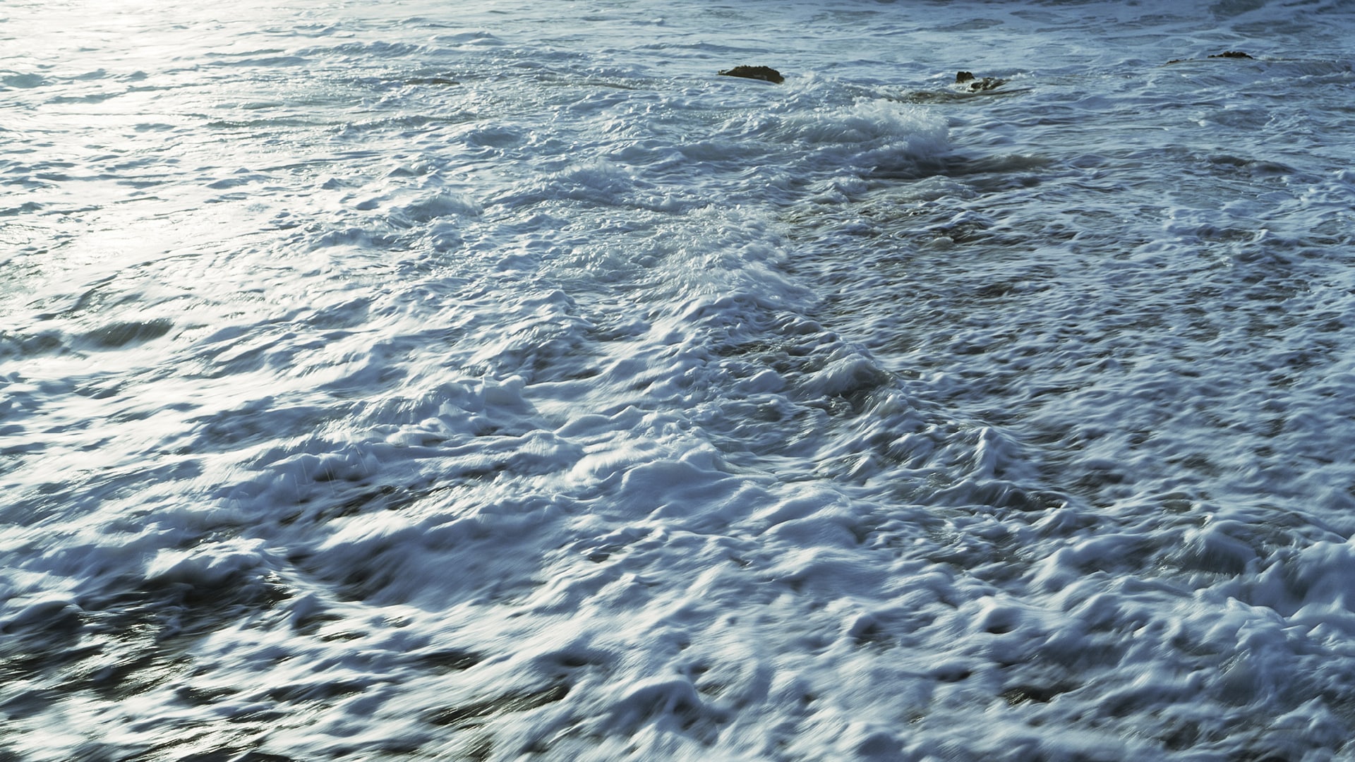 ETE CELINE CAMPAIGN - 5